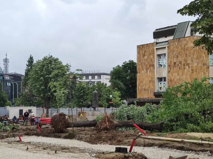 Rakić: Kragujevac na izdisaju! Rakic drvece 696x522