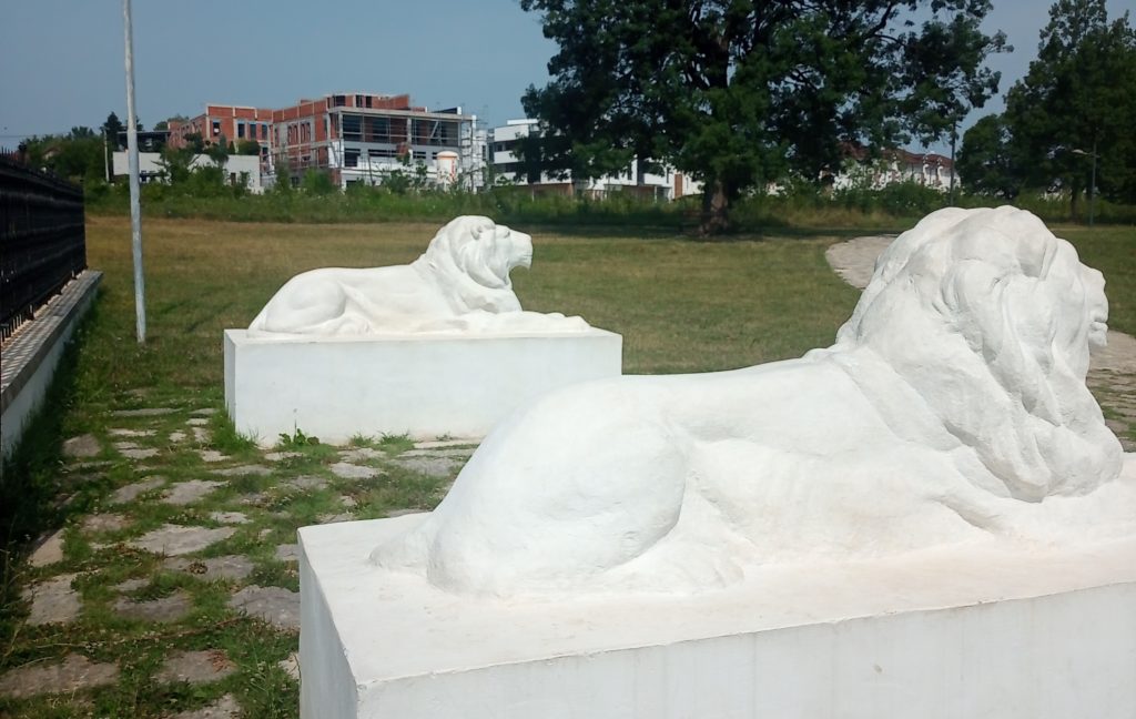 Lavovi