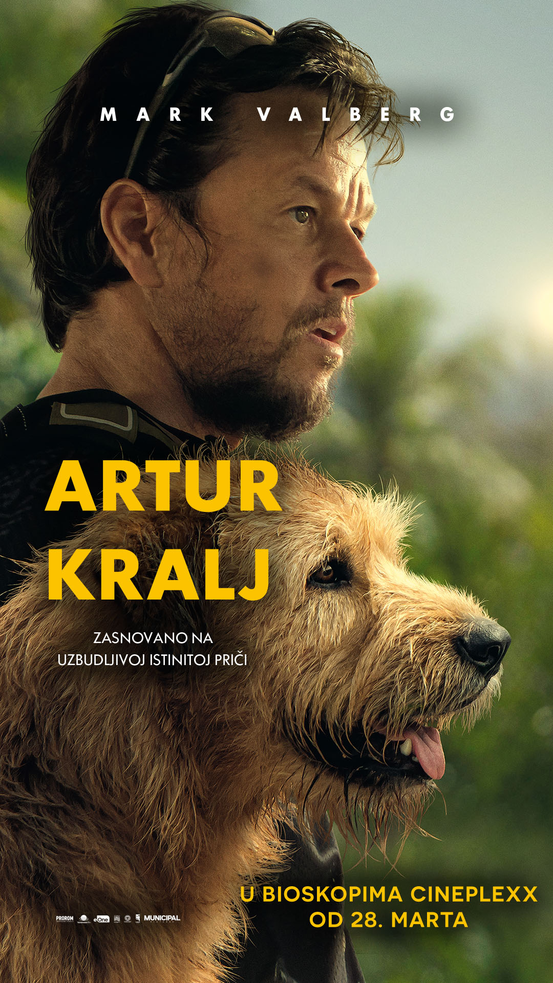 Artur Kralj